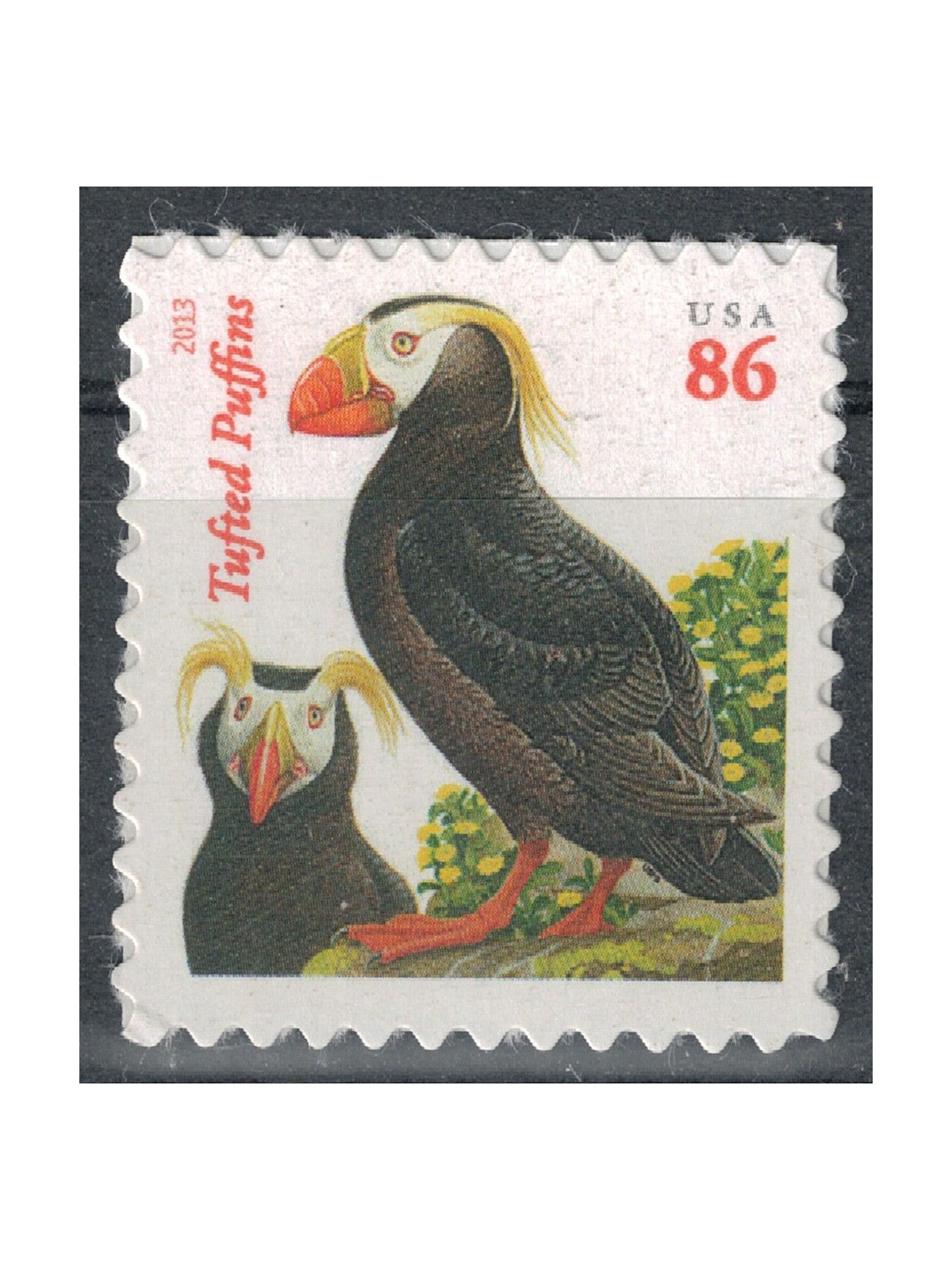 USA 2013 Fauna, Tufted Puffins MNH**