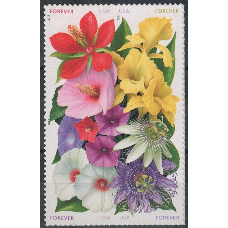USA 2013 Fiori, La Florida 4v MNH**