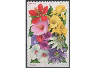 USA 2013 Clubs, La Florida 4v MNH**