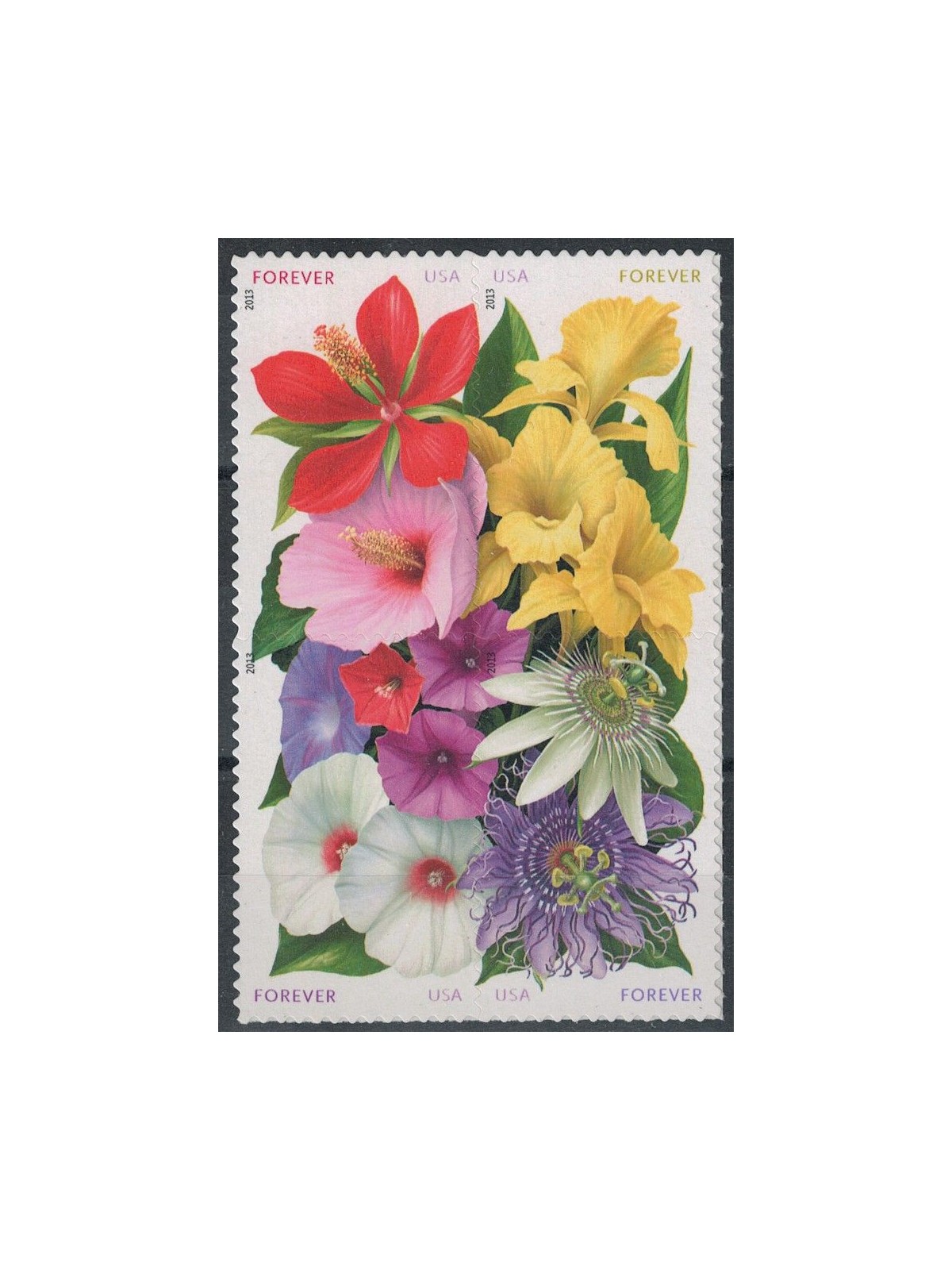 USA 2013 Clubs, La Florida 4v MNH**