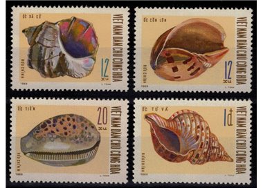 VIETNAM DEL NORD 1970 Conchiglie 4v MNH**