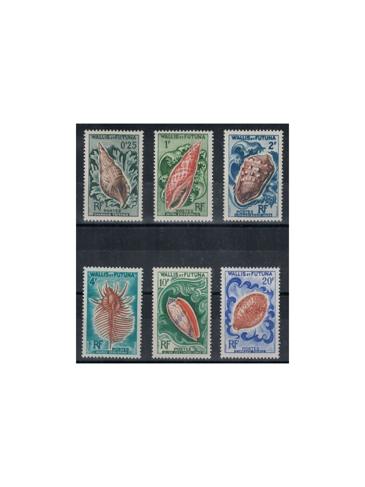 WALLIS AND FUTUNA 1962 Shells 6v MNH**