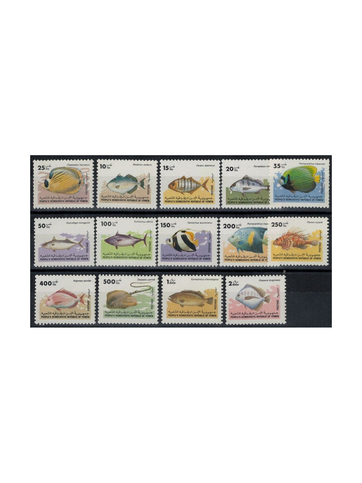 YEMEN REPUBBLICA 1984 Fauna marina, pesci 14v MNH**