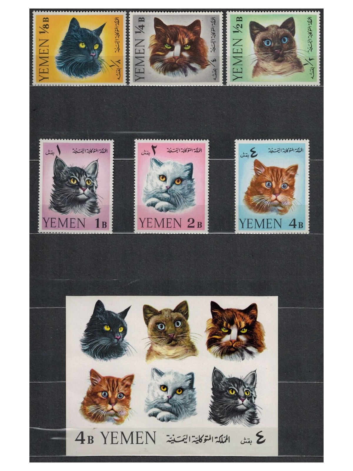 YEMEN REGNO 1965 Gatti 6v + 1 BF MNH**