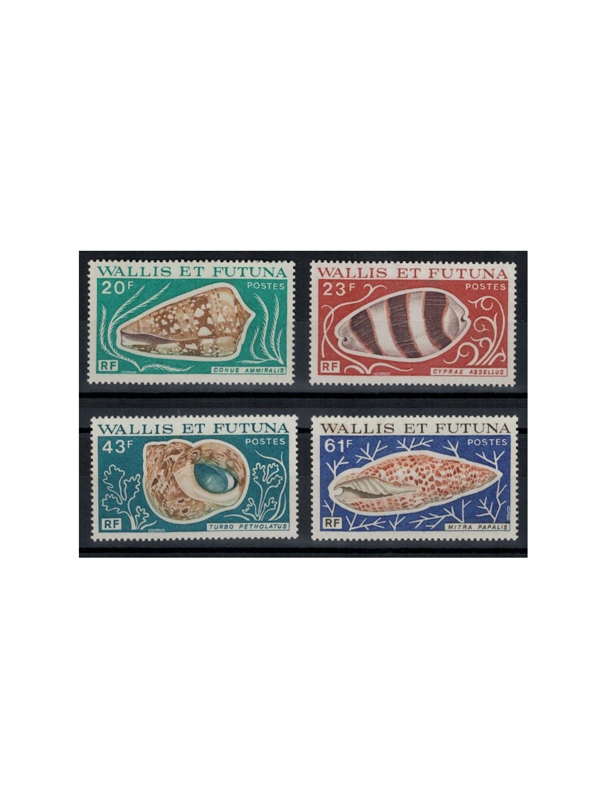 WALLIS E FUTUNA 1976 Conchiglie 4v MNH**