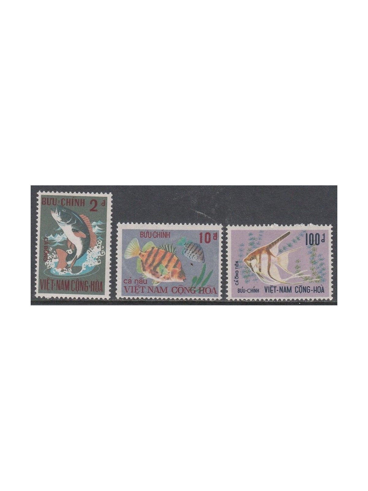 VIETNAM DEL SUD 1971 Fauna marina, pesci 3v MNH**