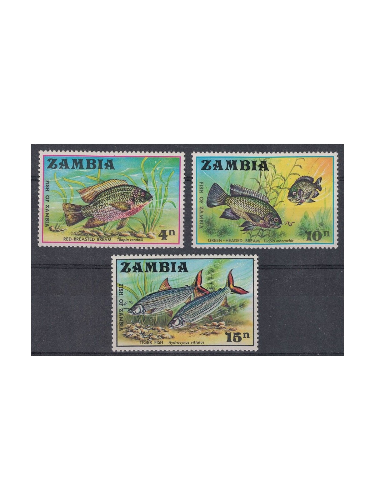 ZAMBIA 1971 Fauna marina, pesci 3v MNH**