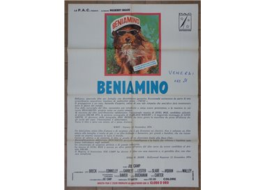 BENIAMINO Original Movie Poster 2F