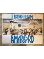 AMARCORD Original Film Poster 2F