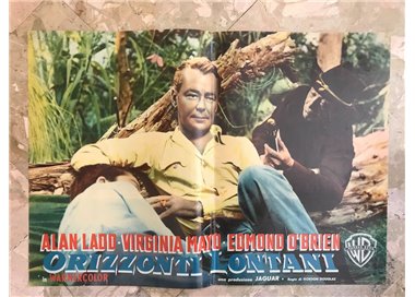 DISTANT HORIZONS Original cinematographic photo envelope (11)