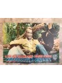ORIZZONTI LONTANI Fotobusta cinematografica originale (11)