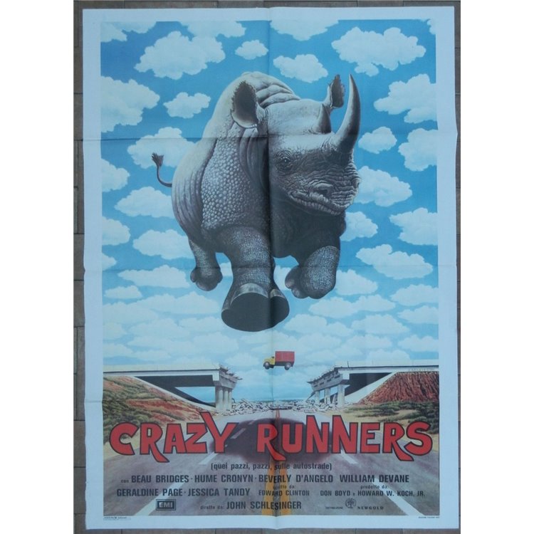 CRAZY RUNNERS Original Movie Poster 2F