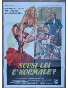 EXCUSE ME, ARE YOU NORMAL? Original 2F Movie Poster