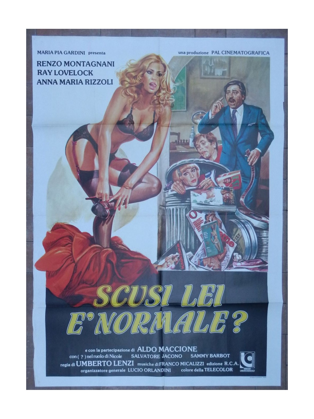 EXCUSE ME, ARE YOU NORMAL? Original 2F Movie Poster