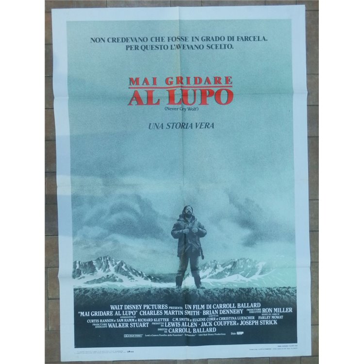 MAI GRIDARE AL LUPO Manifesto cinematografico originale 2F
