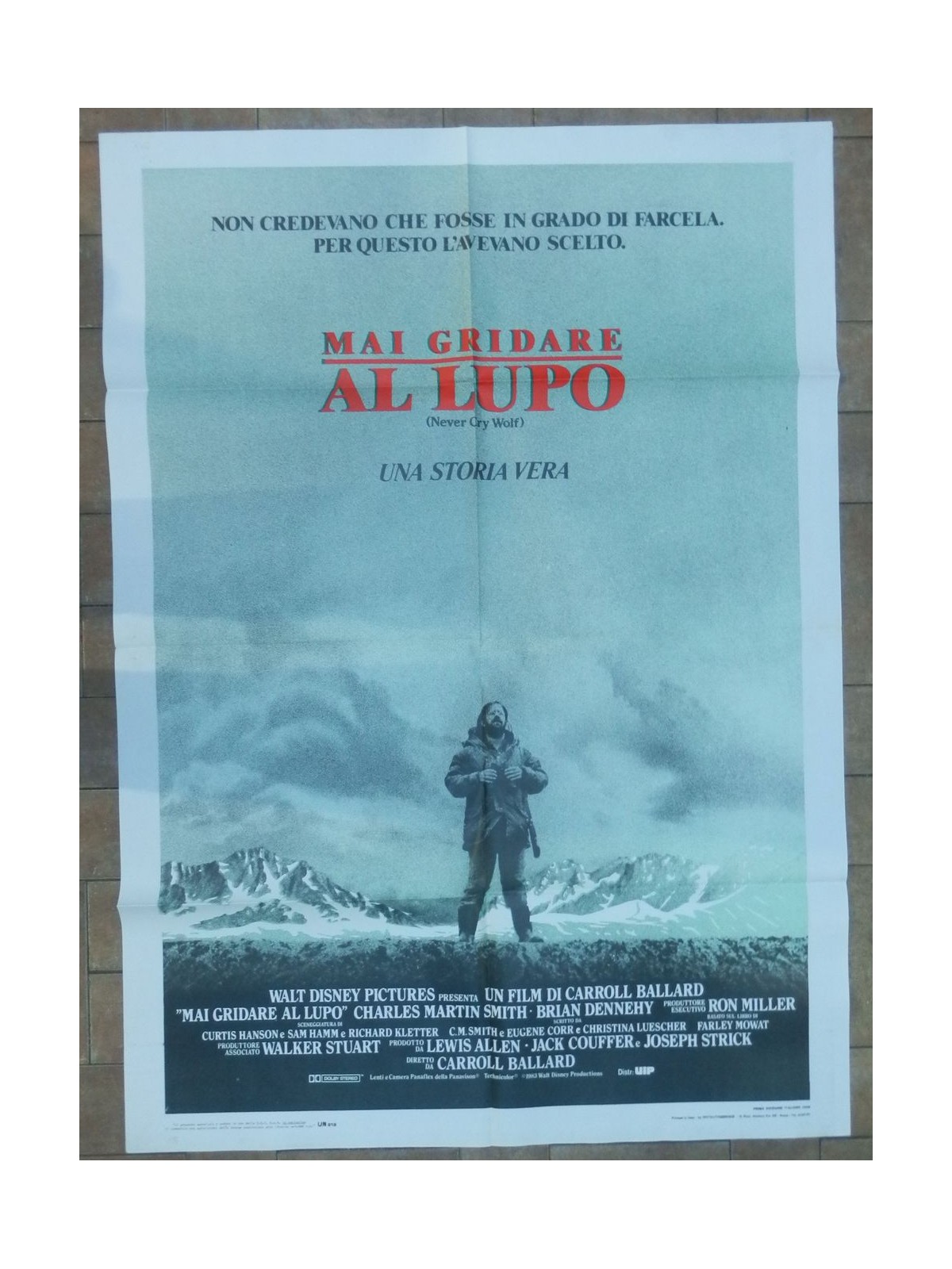 NEVER CRY WOLF Original Movie Poster 2F