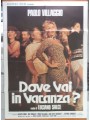 DOVE VAI IN VACANZA? Manifesto cinematografico originale 2F