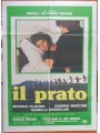 THE MEADOW Original movie poster 2F