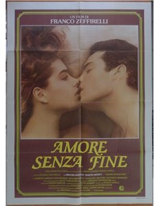 ENDLESS LOVE Original Movie Poster 2F