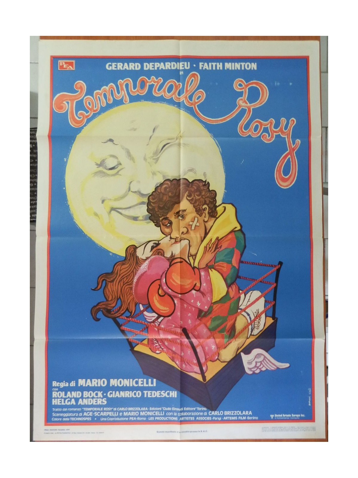 ROSY STORM Original Movie Poster 2F