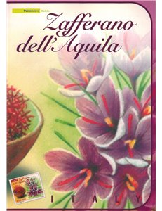ITALIA 2008 Folder Zafferano dell'Aquila
