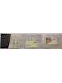ITALIA 2020 Folder 120° Ann. Palermo Football Club