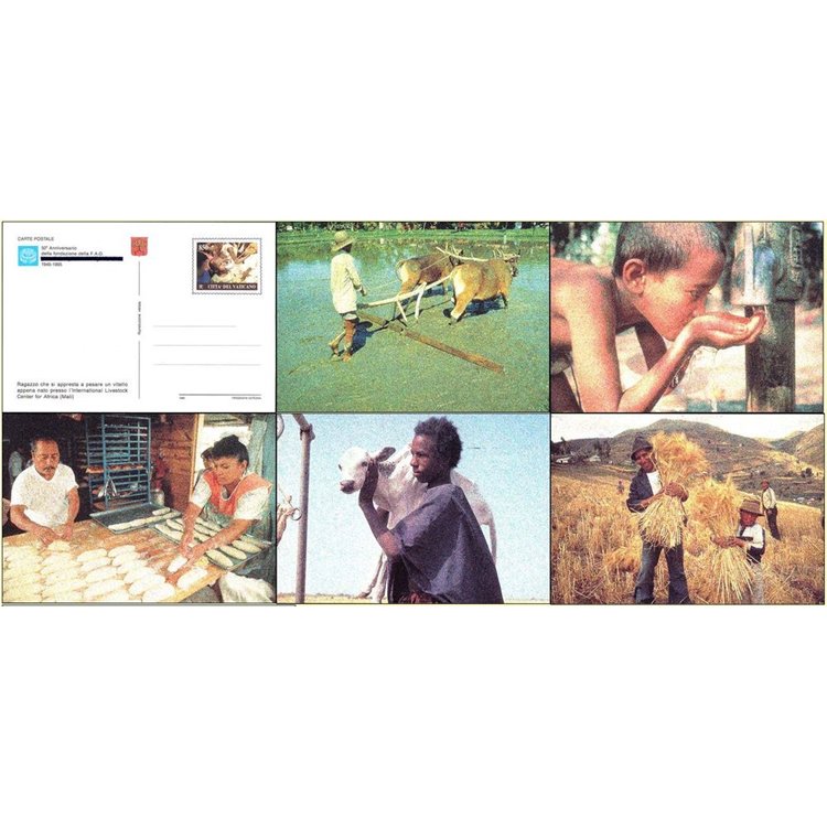 VATICANO 1995 Fao, 5 cartoline postali nuove