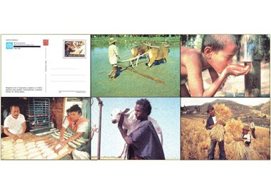VATICANO 1995 Fao, 5 cartoline postali nuove