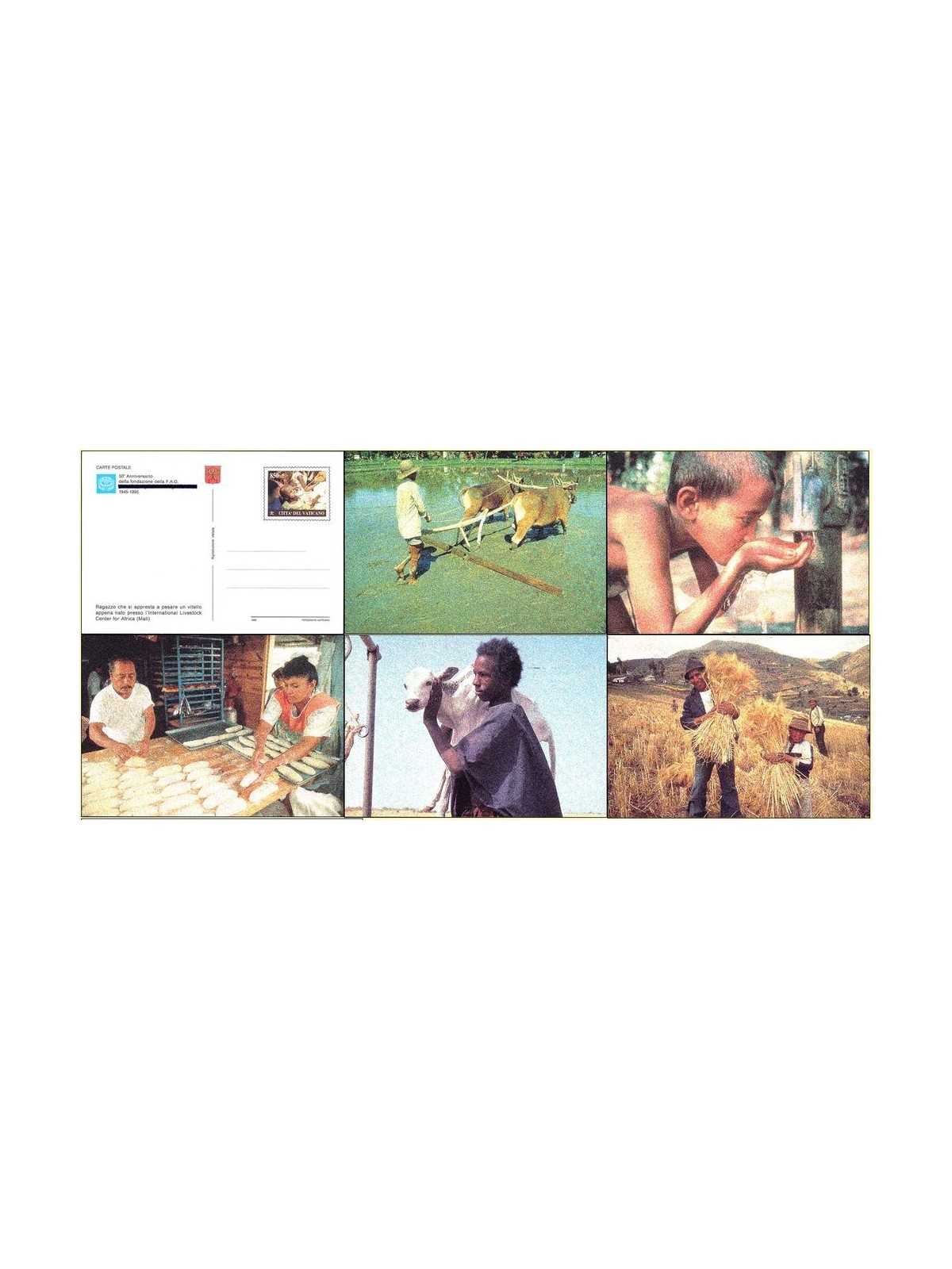 VATICAN 1995 FAO, 5 new postcards