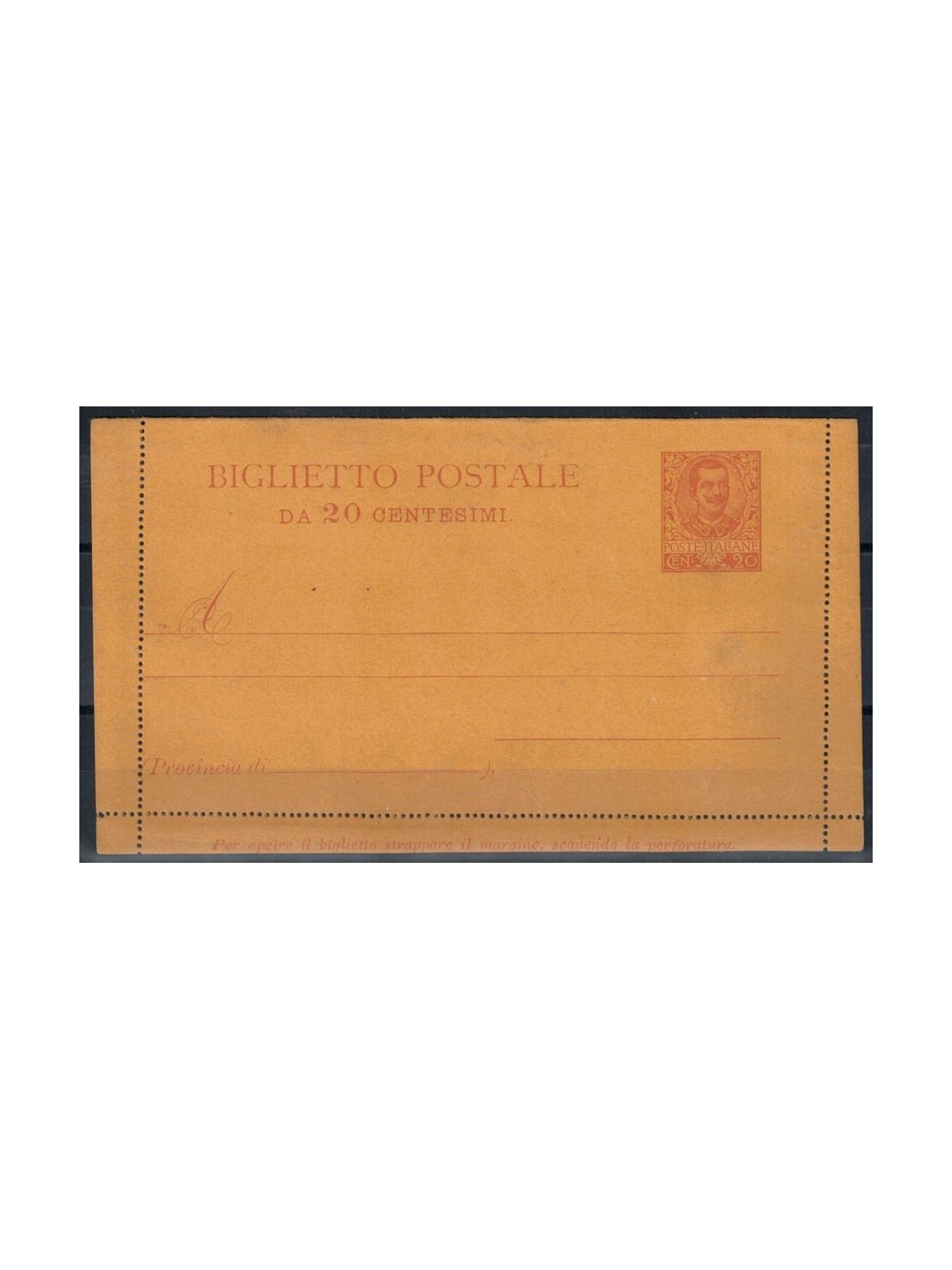ITALIA REGNO 1903 Floreale, Biglietto Postale 20 Centesimi nuovo