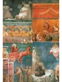 VATICANO 2000 San Francesco, 5 cartoline postali nuove