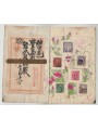 GIAPPONE 1880-1900 - Collez. Impero giapponese su libretto dipinto a mano