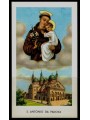 SANTINO (HOLY CARD) S. Antonio da Padova ed. EGIM n° 38