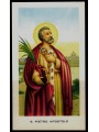 SANTINO (HOLY CARD) S. Pietro Apostolo ediz. EGIM n° 82