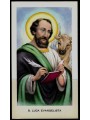 SANTINO (HOLY CARD) S. Luca Evangelista ed. EGIM n° 89
