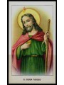 SANTINO (HOLY CARD) S. Giuda Taddeo ediz. EGIM n° 235